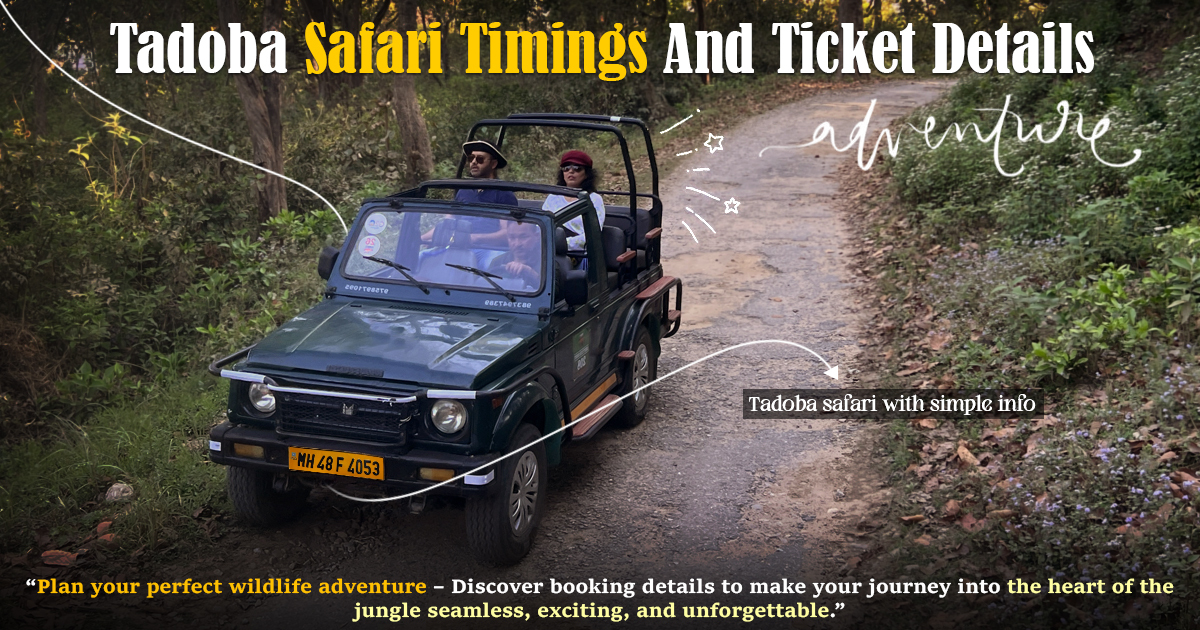 Tadoba Safari Timings And Ticket Details