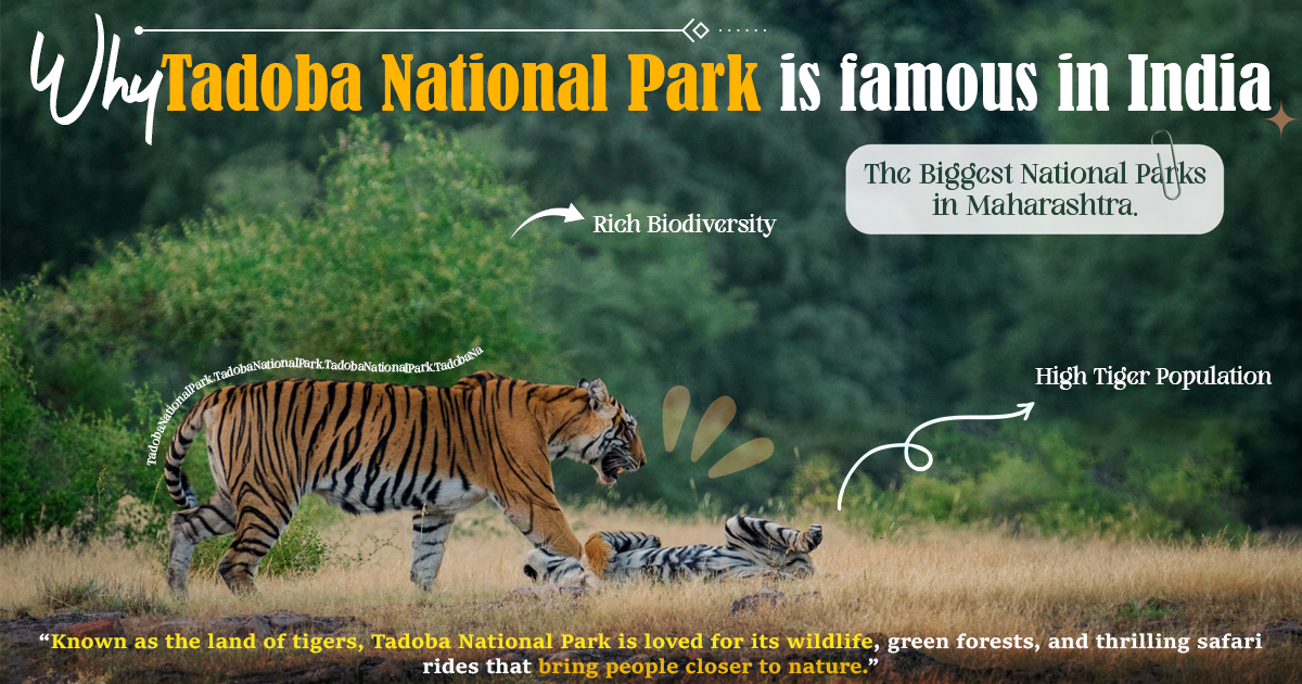 Why Tadoba National Park Is Famous In India