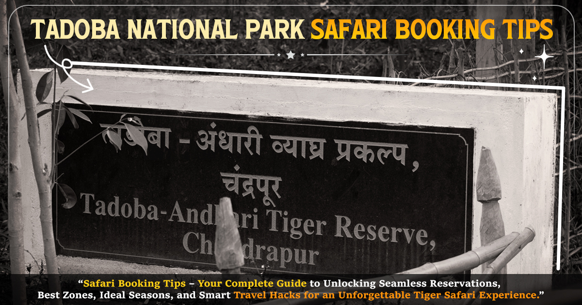Tadoba National Park Safari Booking Tips