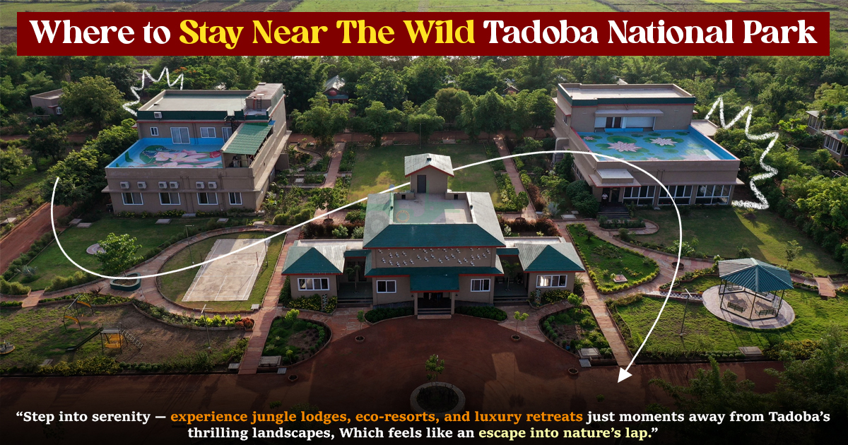 Where to Stay Near The Wild Tadoba National Park