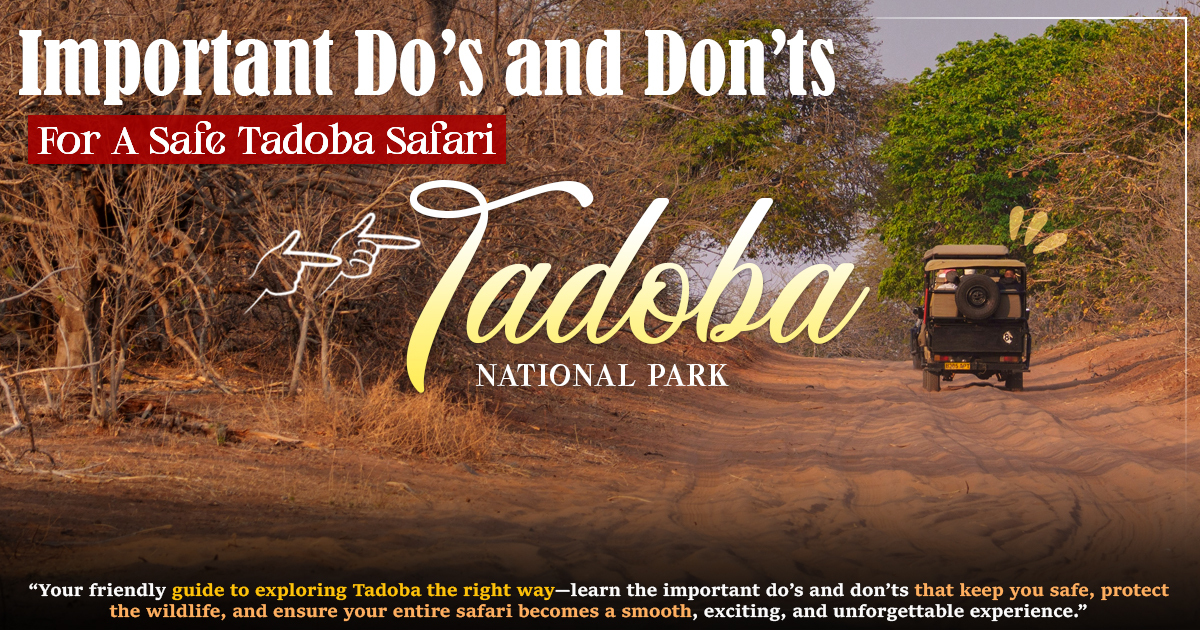 Important Do’s and Don’ts for a Safe Tadoba Safari