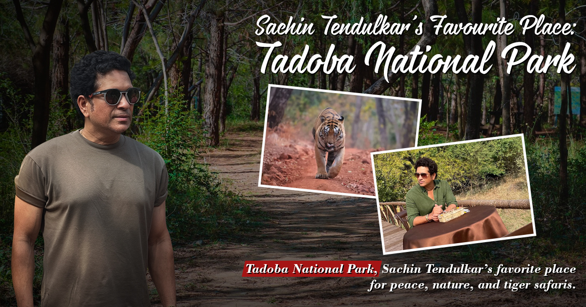 Sachin Tendulkar’s Favorite Place: Tadoba National Park