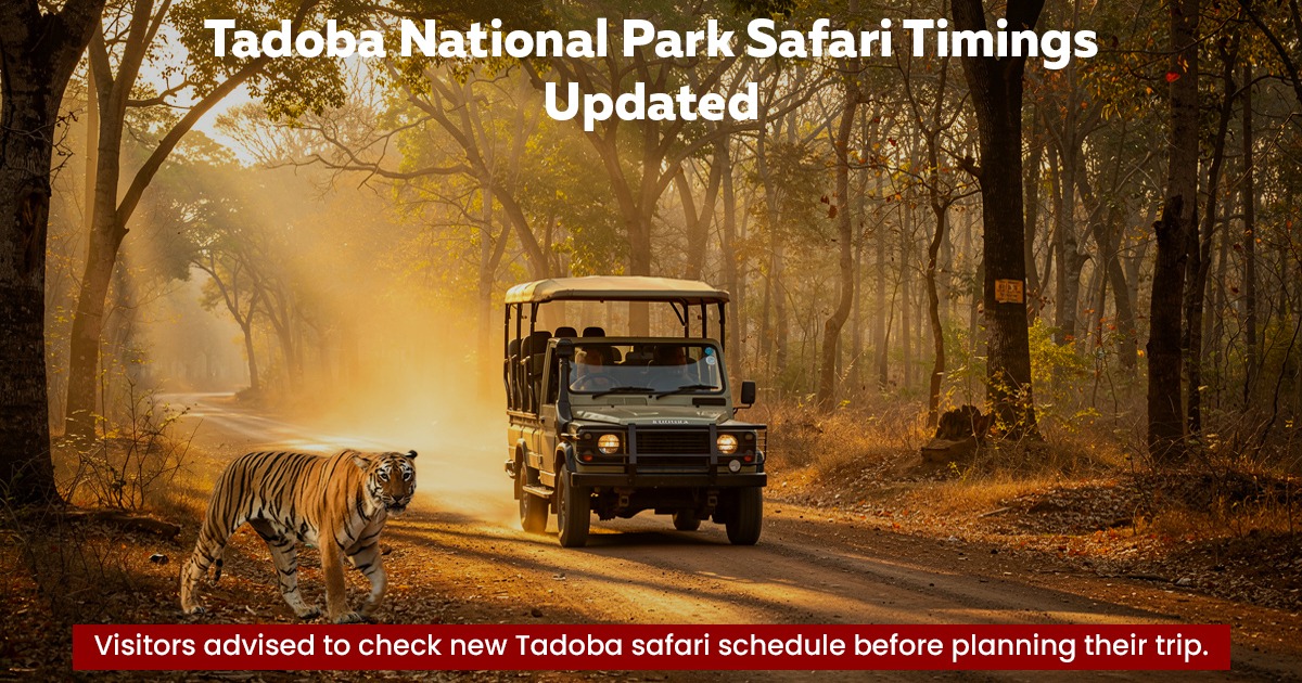 Tadoba National Park Safari Timings Updated