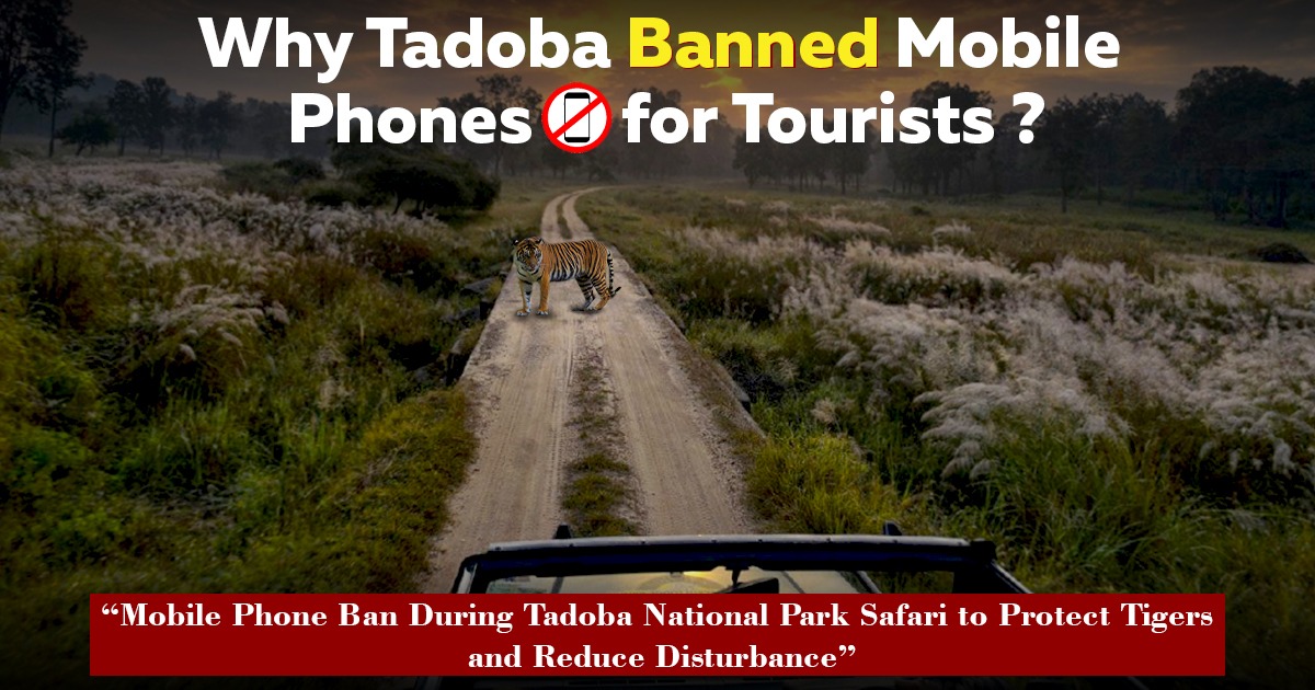 Why Tadoba Banned Mobile Phones For Tourists