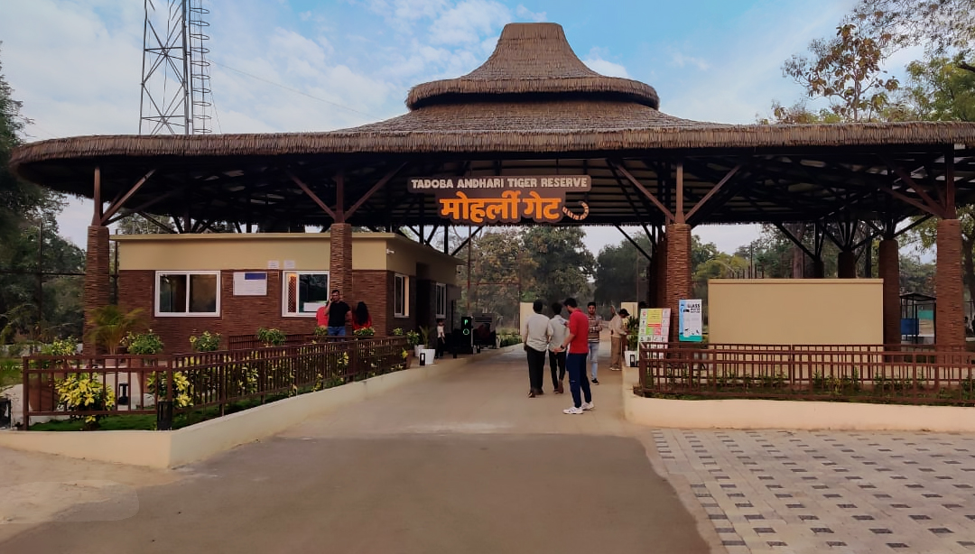 Moharli Zone