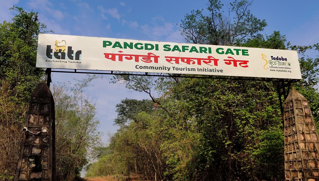 Pangadi & Zari Zone