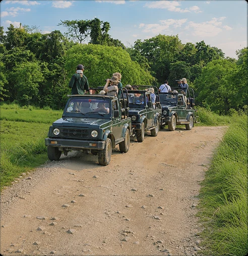 Tadoba tour package planning