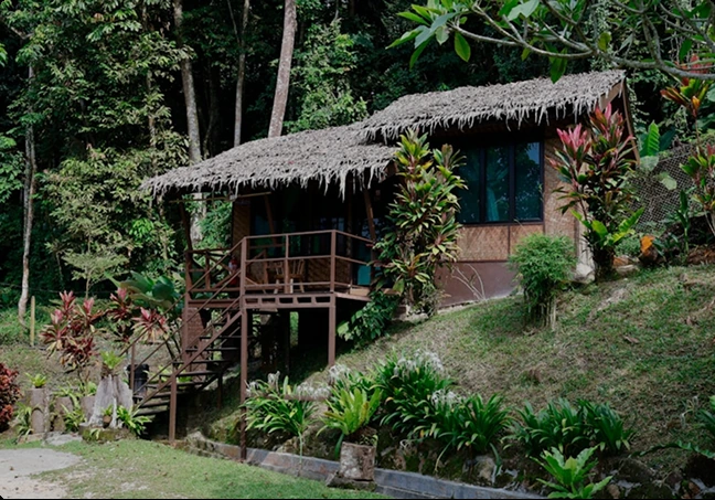 Hotel amenities and cottages in Tadoba