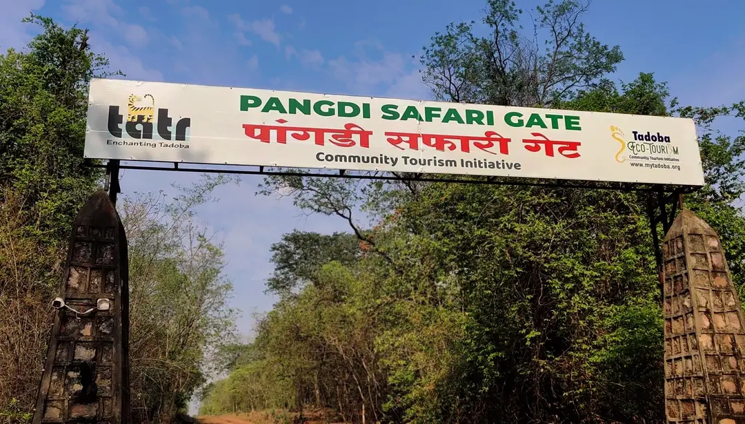 Pangdi & Zari Zone