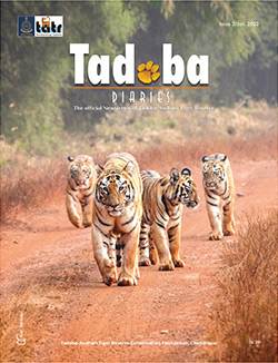 Tadoba Diaries Monthly Newsletter Cover