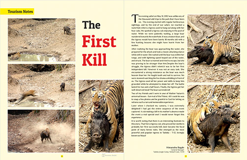 Tadoba Diaries Monthly Newsletter Spread